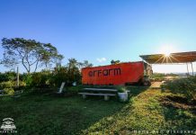 Orfarm - Vườn cam đẹp nhất Măng Đen