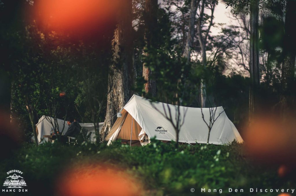 lều camping Măng Đen giữa rừng trong không gian yên tĩnh