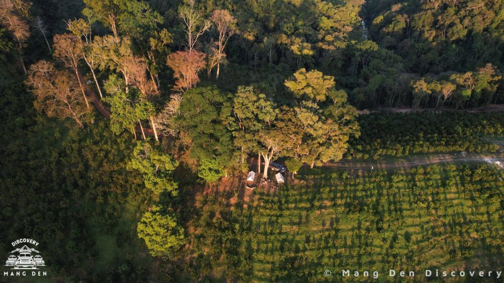 Khung cảnh kh&iacute; hậu m&aacute;t mẻ tại Măng Đen với rừng th&ocirc;ng v&agrave; bầu trời trong