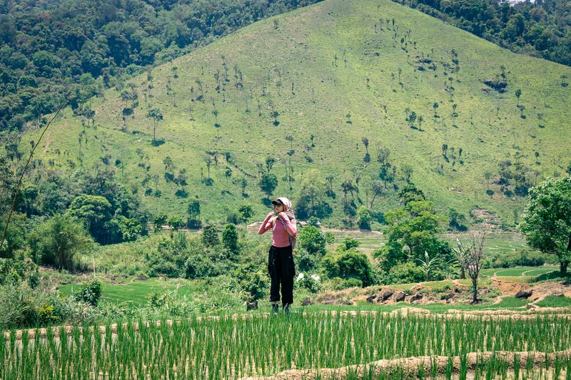 Khách đứng trước cảnh ruộng bậc thang và núi rừng Kon Tu Ma