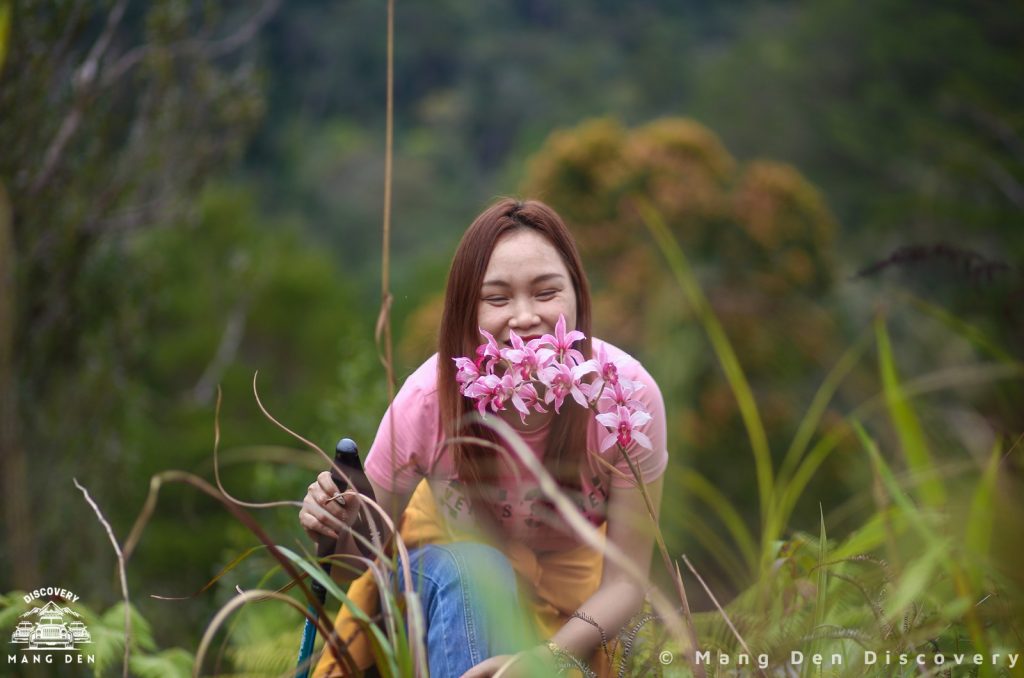 Đồi dương xỉ và hệ sinh thái xanh ở Vi R'Ngheo