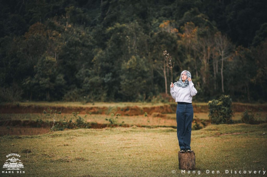 khách đứng giữa cảnh quan rừng núi Măng Đen