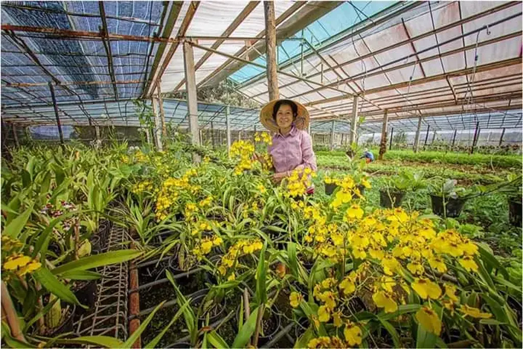 Nh&agrave; lồng trồng hoa tại Thiện Mỹ Farm Măng Đen