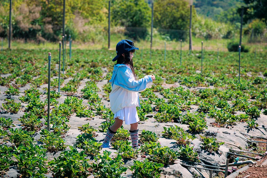 Trẻ nhỏ đi giữa khu trồng c&acirc;y tại Thiện Mỹ Farm Măng Đen