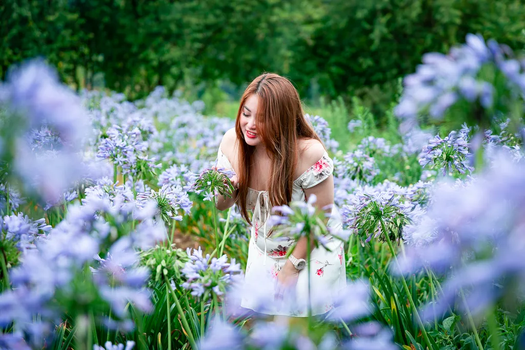 Du kh&aacute;ch chụp ảnh giữa vườn hoa t&iacute;m tại Thiện Mỹ Farm Măng Đen