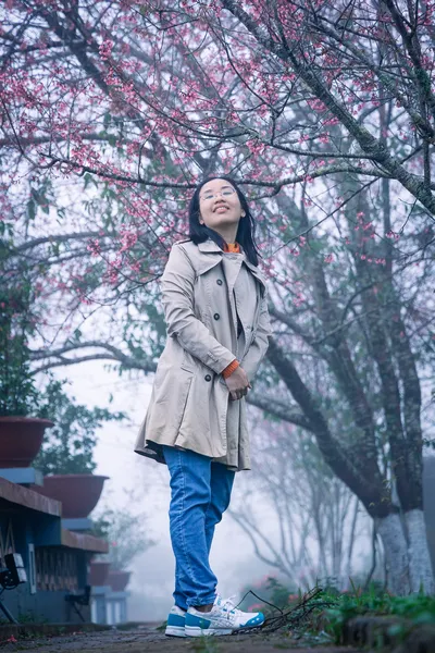 Du khách đứng dưới tán hoa mai anh đào nở hồng tại Măng Đen vào mùa đầu năm