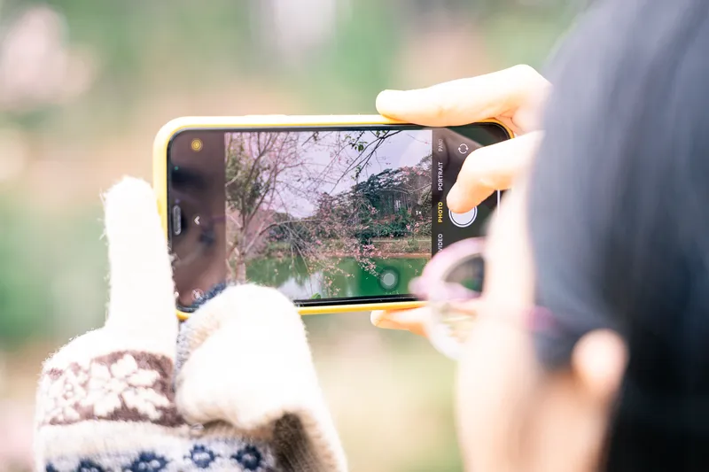 Khoảnh khắc chụp ảnh mùa hoa mai anh đào tại Măng Đen với bối cảnh cao nguyên lãng mạn