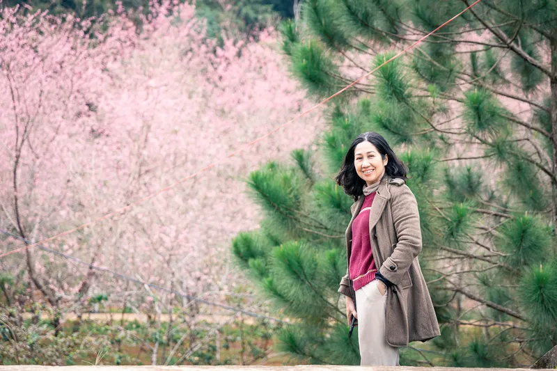 Du khách chụp ảnh giữa mùa hoa mai anh đào nở rộ tại Măng Đen, cao nguyên Kon Plông