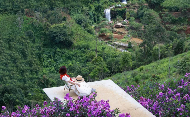 Đồi hoa mua nở tím phủ rộng tại Măng Đen trong mùa mưa