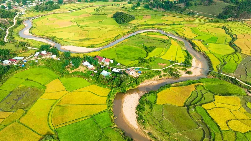 Những thửa ruộng bậc thang lúa chín tại Kon Tu Rằng, Măng Đen